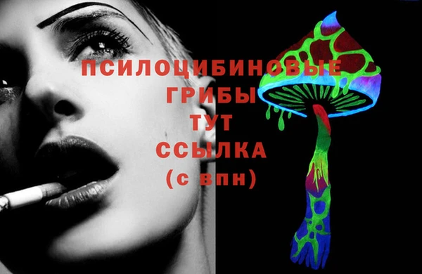 шишки Арсеньев