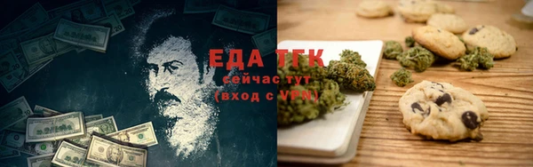 шишки Арсеньев