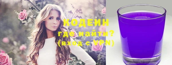 шишки Арсеньев