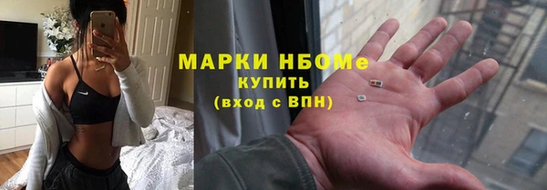 шишки Арсеньев