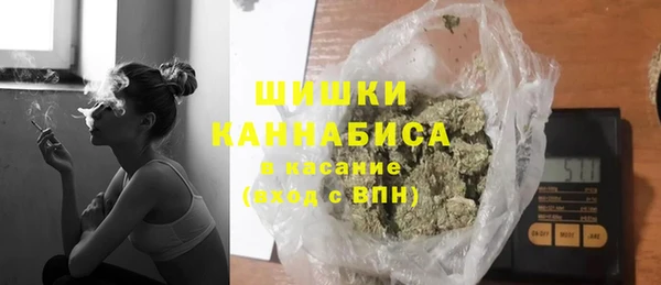 шишки Арсеньев