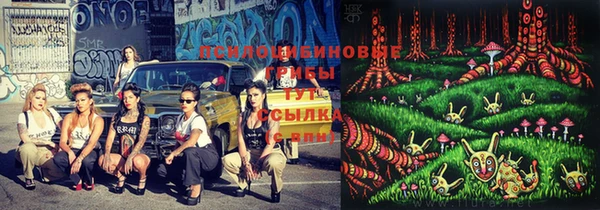 apvp Армянск